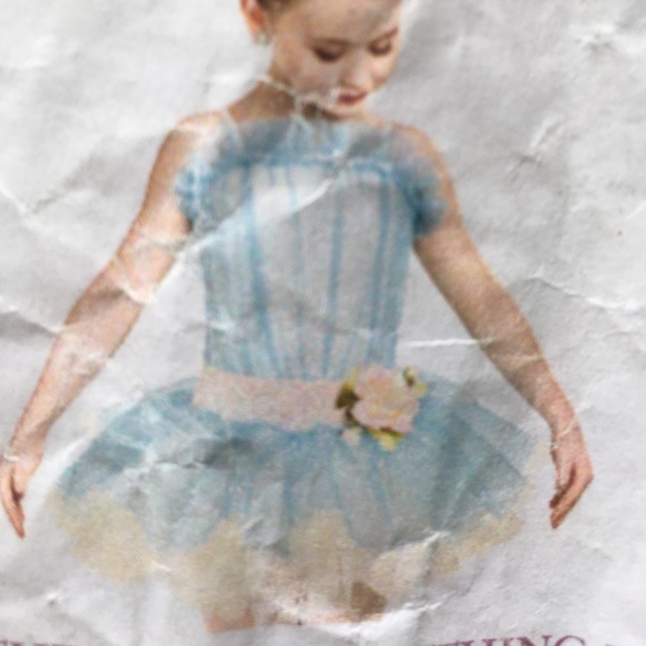 Ballet Spring Recital Costume - Picture 2 of 11